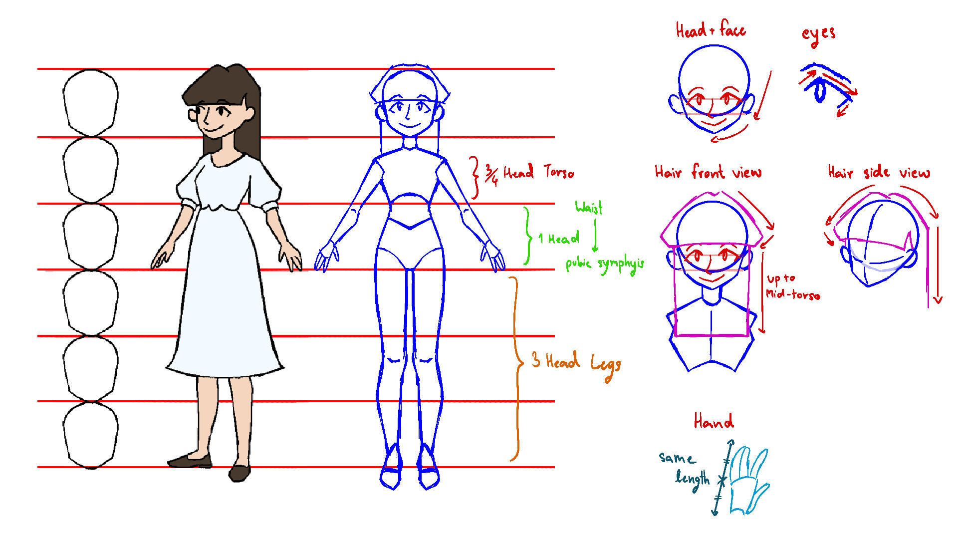 Model Sheet